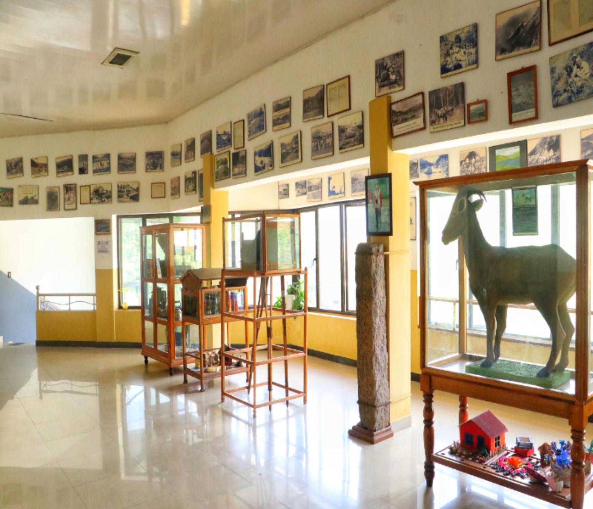 Ac Mist Hotel Munnar Kültér fotó